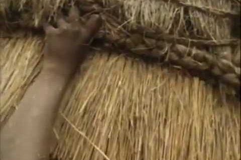 Dawni wojownicy – Zulusi