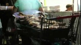 Kobiece Gangi w Los Angeles