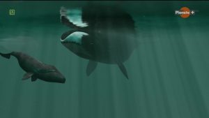 00a7a41482f39b49c6ea0337e5c54455efedcccd393d50b81c1e23c6d15423db-161