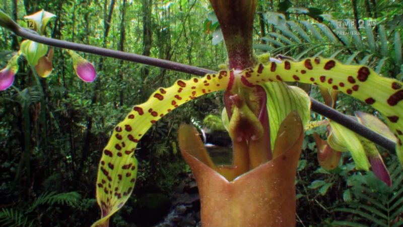 2311d7aaf67fc528195572c41d71f71e1414851d9348b296a221ca8f4b389a4c-111