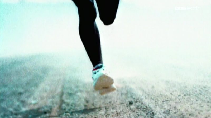 bb2ffff013fc1a3ac54a0a55296eb0e48a4d7da3eef0f33fe98cf989d1a731e0-121