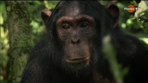 327fbff441ceab410b943db3e42a1b18efedcccd393d50b81c1e23c6d15423db-01 (1)